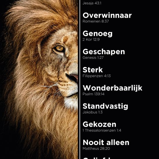 MA11631 - A4-bord Leeuw