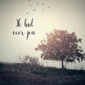 Kaart 'Ik bid voor jou - herfstboom' - MA34006 -  Stille momenten bij MajesticAlly