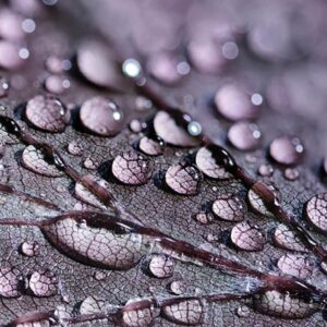 Kaart 'Blanco - druppels' - MA34012 - Stille momenten bij MajesticAlly