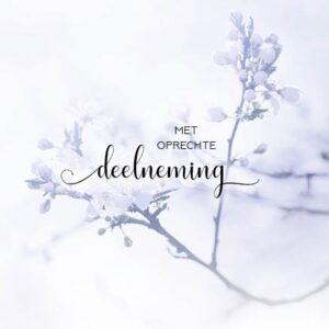 Kaart 'Deelneming - tak' - MA34013 - Stille momenten bij MajesticAlly