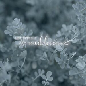 Kaart 'Medeleven - grijze takken' - MA34014 - Stille momenten bij MajesticAlly