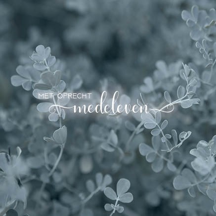 images Kaart 'Medeleven - grijze takken' - MA34014 - Stille momenten bij MajesticAlly