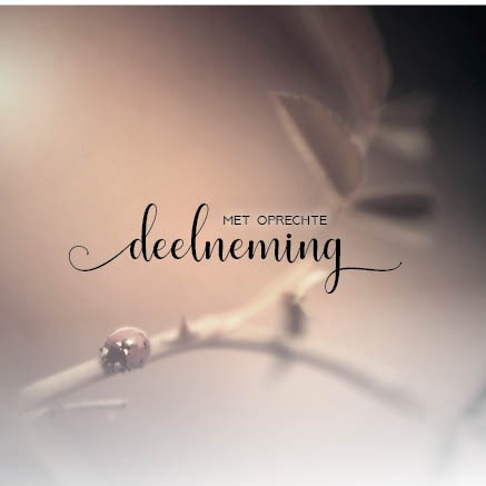 images Kaart 'Deelneming - lieveheersbeestje' - MA34016 - Stille momenten bij MajesticAlly