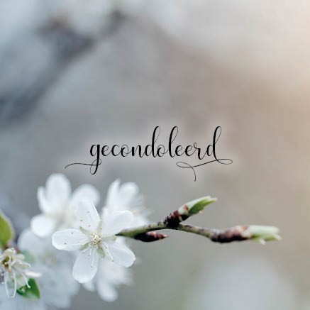 images Kaart 'Gecondoleerd - bloesem' (SV) - MA34017SV - Stille momenten bij MajesticAlly