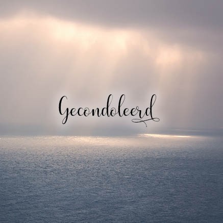 images Kaart 'Gecondoleerd - doorbrekende zon' - MA34018 - Stille momenten bij MajesticAlly