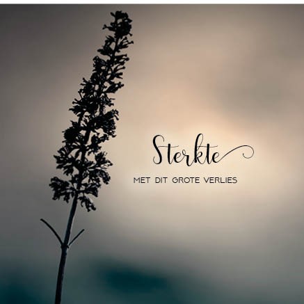 images Kaart 'Sterkte met dit grote verlies' - MA34020 - Stille momenten bij MajesticAlly