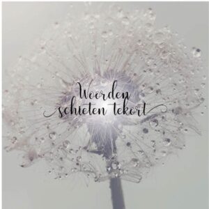 Kaart 'Woorden schieten tekort - blaasbloem' - MA34022 - Stille momenten bij MajesticAlly