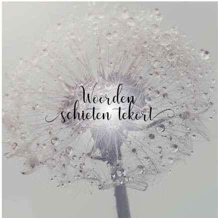 images Kaart 'Woorden schieten tekort - blaasbloem' - MA34022 - Stille momenten bij MajesticAlly