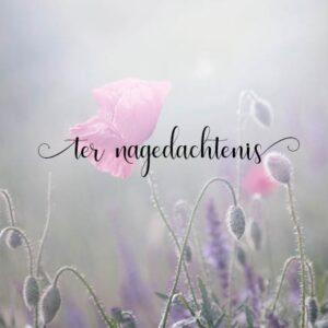 Kaart 'Ter nagedachtenis' - MA34023 - Stille momenten bij MajesticAlly