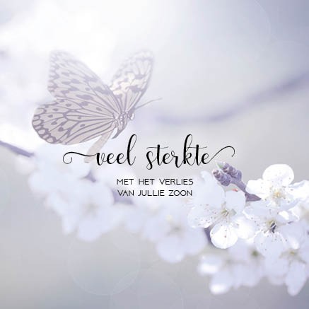 images Kaart 'Verlies zoon' - MA34027 - Stille momenten bij MajesticAlly