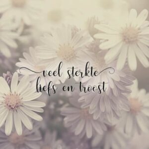 Kaart 'Sterkte liefs en troost' (SV) - MA34032SV - Stille momenten bij MajesticAlly