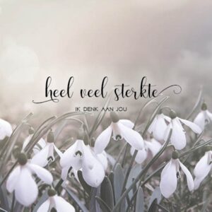 Kaart 'Sterkte ik denk aan jou' - MA34035 - Stille momenten bij MajesticAlly