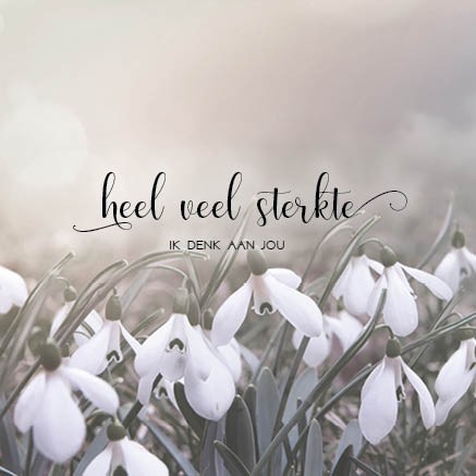 images Kaart 'Sterkte ik denk aan jou' - MA34035 - Stille momenten bij MajesticAlly