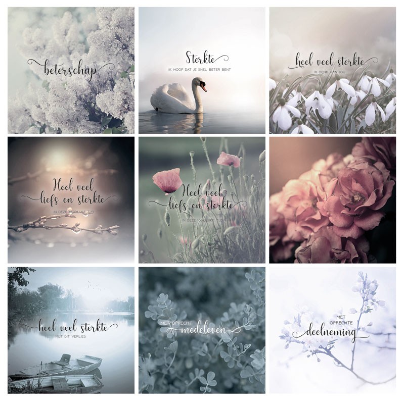 images Voordeelpakket 'Sterkte & deelneming' - MA34099 - Voordeelpakjes bij MajesticAlly