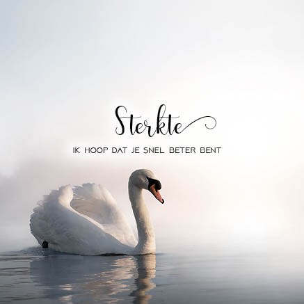 images Voordeelpakket 'Sterkte & deelneming' - MA34099 - Voordeelpakjes bij MajesticAlly