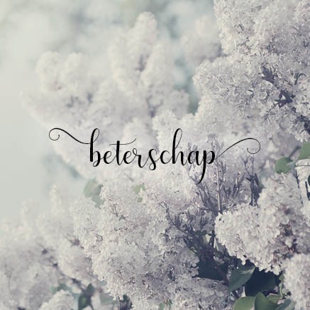 images Voordeelpakket 'Sterkte & deelneming' - MA34099 - Voordeelpakjes bij MajesticAlly