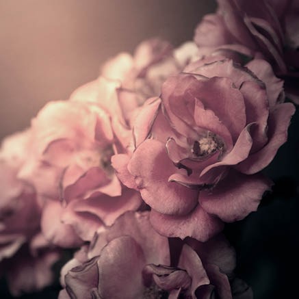 images Voordeelpakket 'Sterkte & deelneming' - MA34099 - Voordeelpakjes bij MajesticAlly