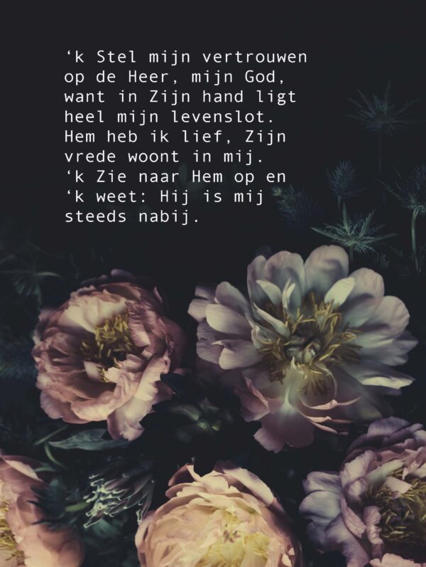 Poster A4 'k Stel mijn vertrouwen - Opwekking 658 - 552658P - Posters bij MajesticAlly