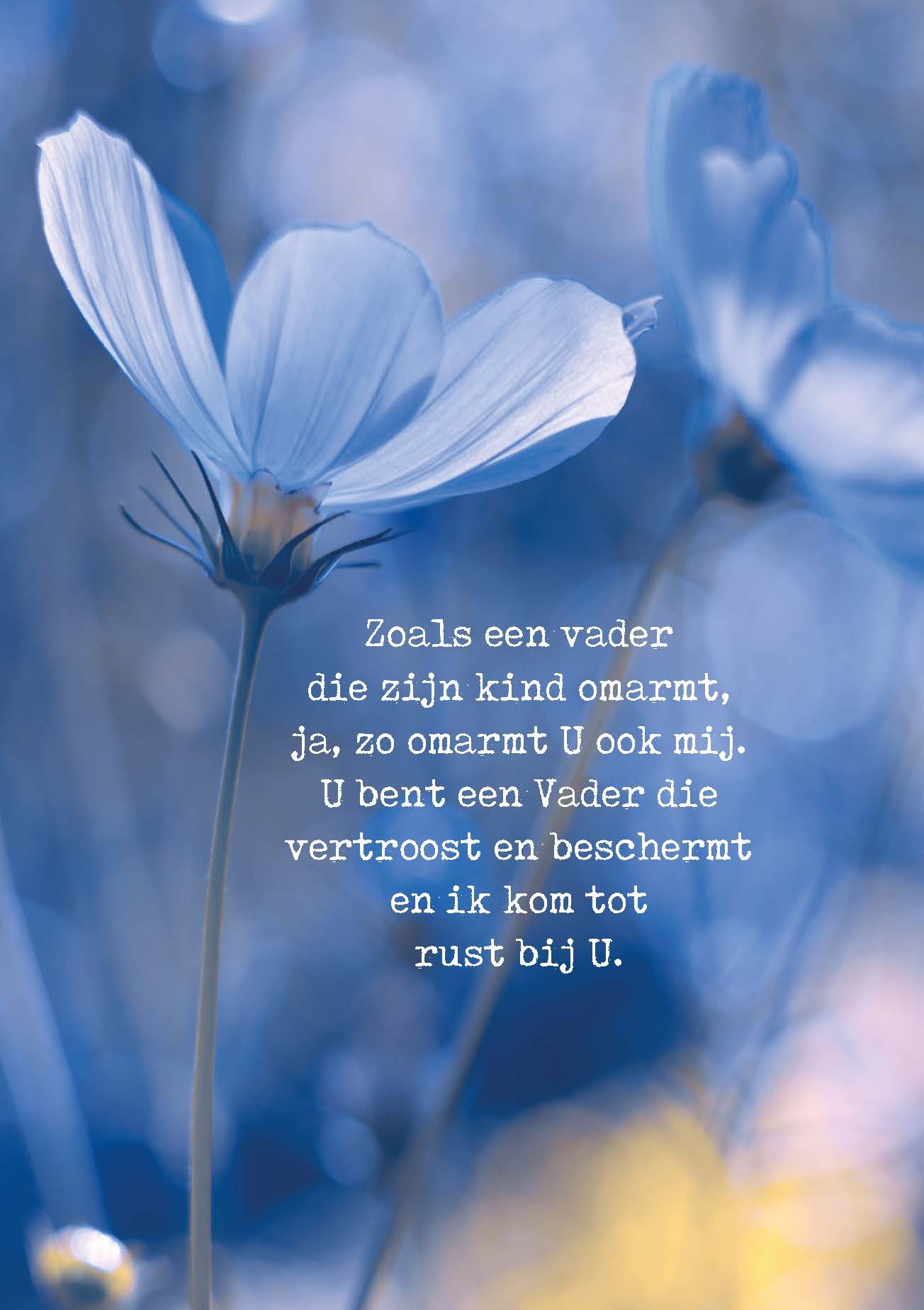 images Poster A4 Zoals een Vader - Opwekking 462 - 552671P - Posters bij MajesticAlly