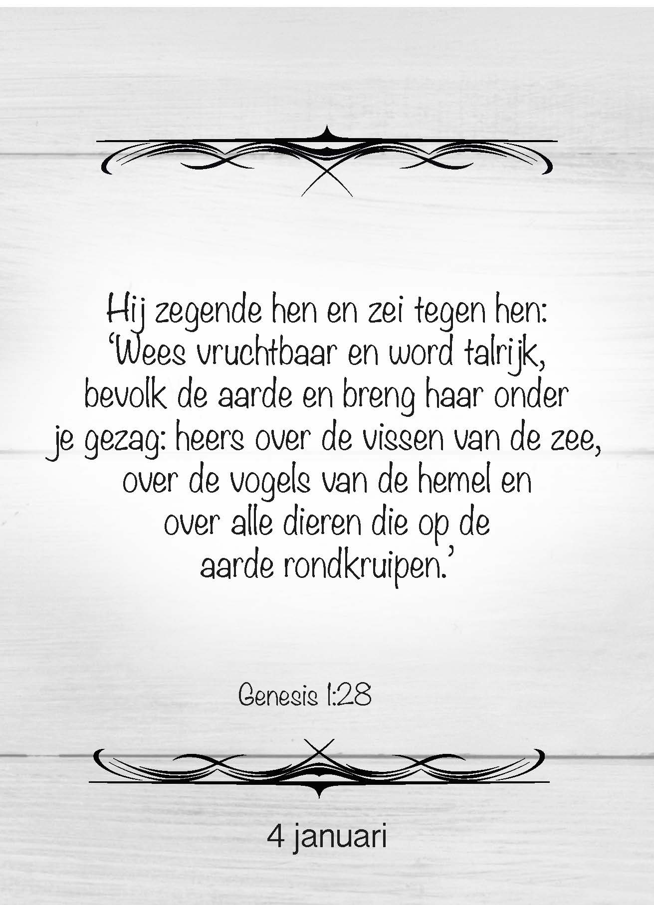 images Scheurkalender 365 bijbelse beloften - 9789078893233 - Kalenders & agenda's bij MajesticAlly