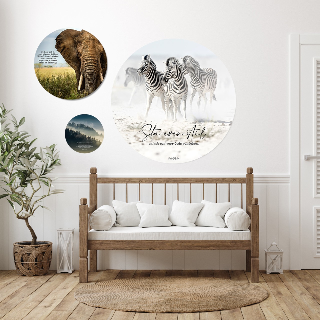 images Muurcirkel 'Zebra's - Sta even stil' - 100 cm - MA39415 - Wanddeco bij MajesticAlly