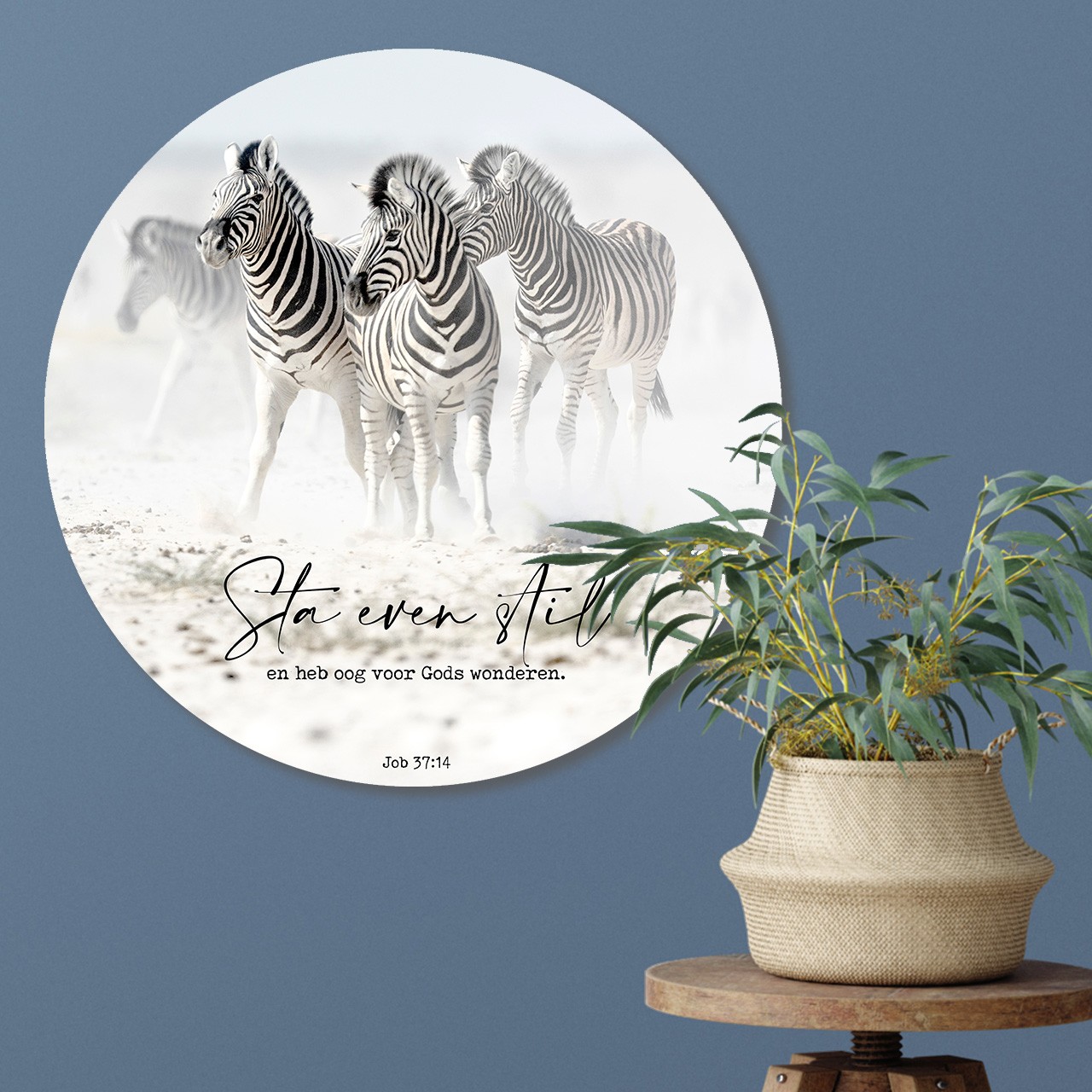 images Muurcirkel 'Zebra's - Sta even stil' - 60 cm - MA39315 - Wanddeco bij MajesticAlly