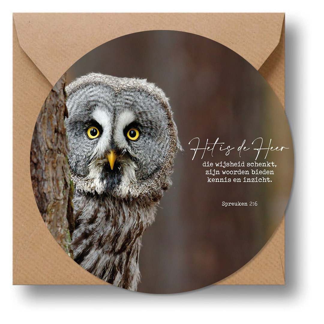 images Cirkelcadeau 'Uil' - MA39622 - Cadeauborden bij MajesticAlly