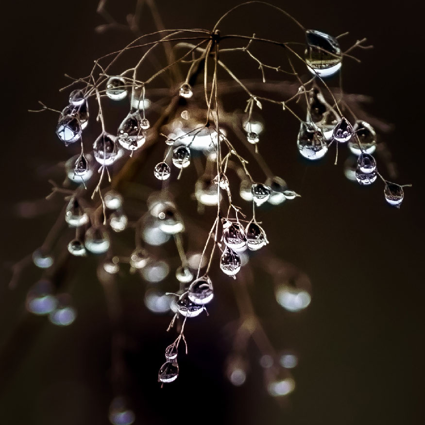 MA34112 - Vierkante wenskaart 'Druppels' MA34112 - Vierkante wenskaart 'Druppels'