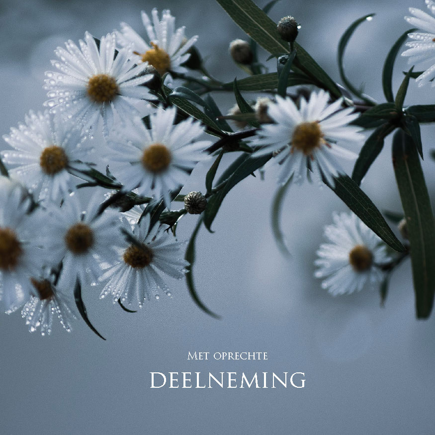 MA34115 - Vierkante wenskaart 'Met oprechte deelneming' MA34115 - Vierkante wenskaart 'Met oprechte deelneming'