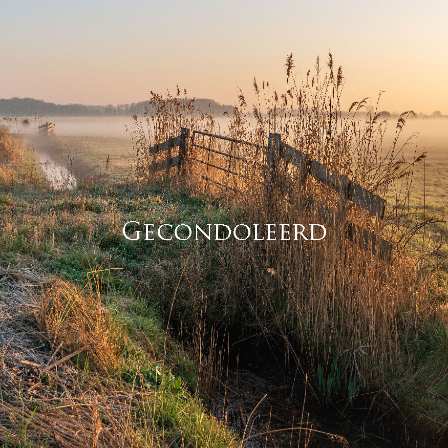 MA34117 - Vierkante wenskaart 'Gecondoleerd - hekje' MA34117 - Vierkante wenskaart 'Gecondoleerd - hekje'