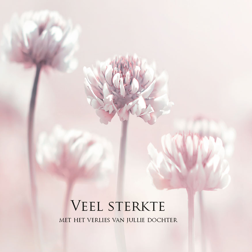 MA34128 - Vierkante wenskaart 'Veel sterkte - verlies dochter' MA34128 - Vierkante wenskaart 'Veel sterkte - verlies dochter'