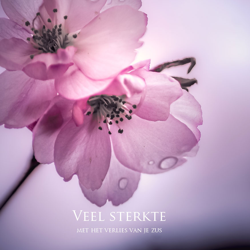 MA34130 - Vierkante wenskaart 'Veel sterkte - verlies zus' MA34130 - Vierkante wenskaart 'Veel sterkte - verlies zus'