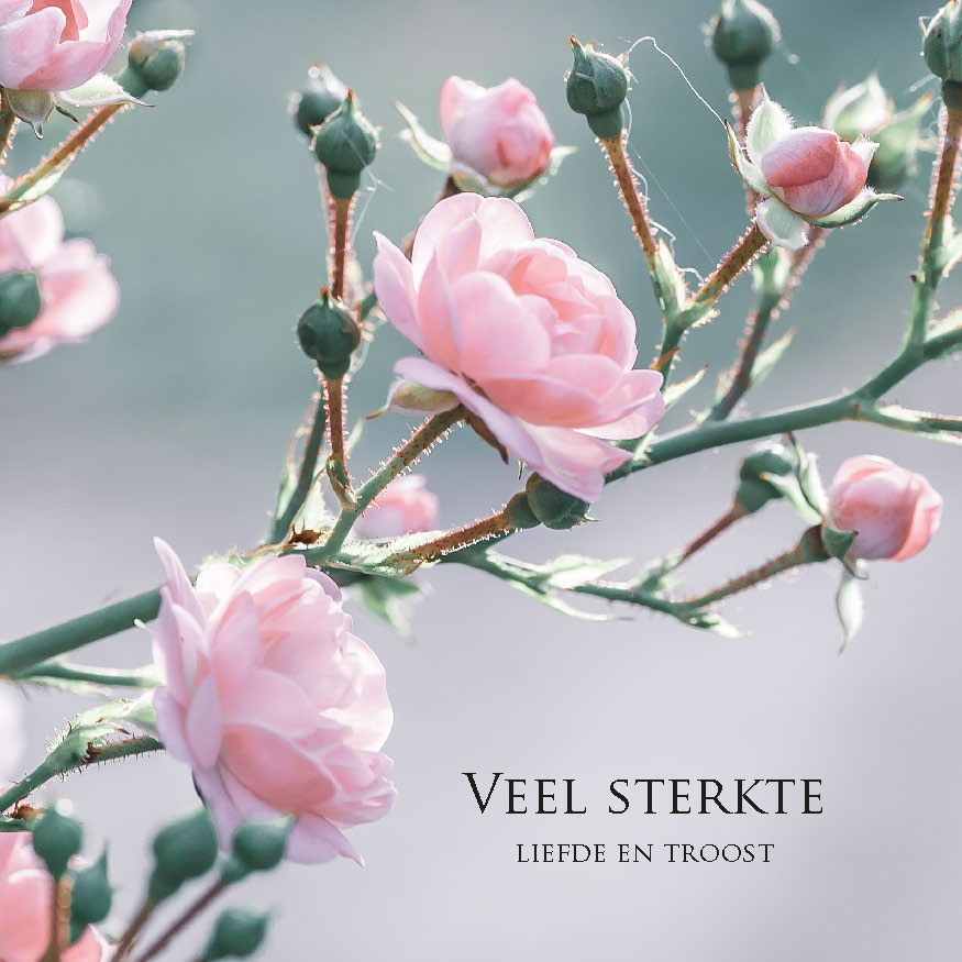 MA34132 - Vierkante wenskaart 'Veel sterkte, liefde en troost' MA34132 - Vierkante wenskaart 'Veel sterkte, liefde en troost'