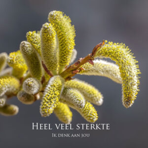 MA34135 - Vierkante wenskaart 'Ik denk aan jou'