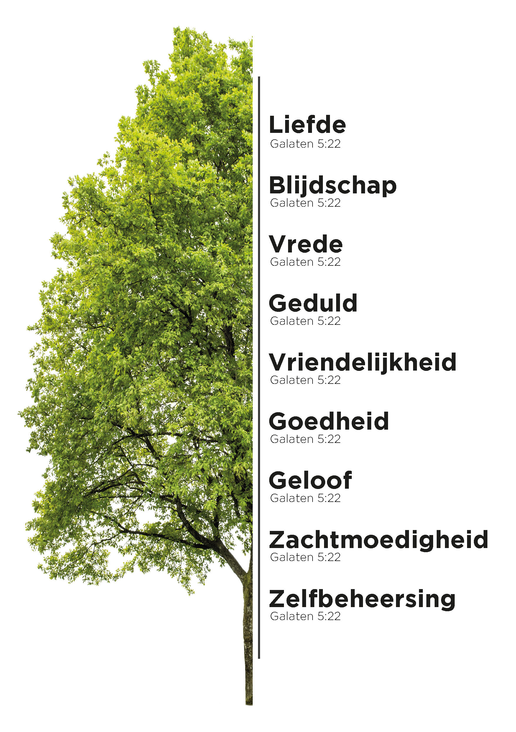 MA11632 - A4-bord Boom MA11632 - A4-bord Boom