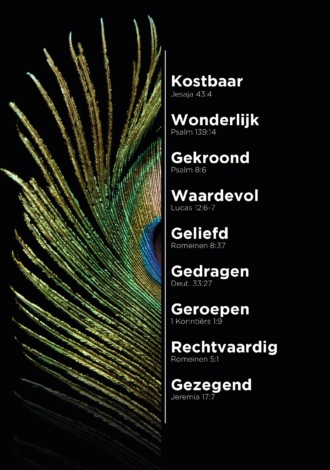 MA11634 - A4-bord Pauw