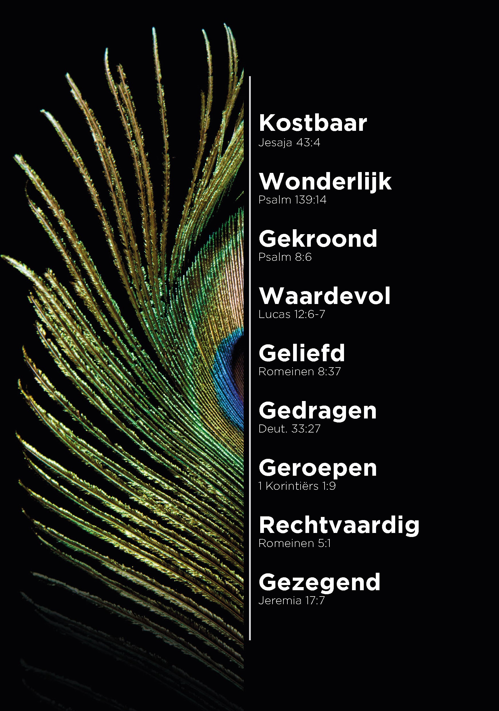 MA11634 - A4-bord Pauw MA11634 - A4-bord Pauw