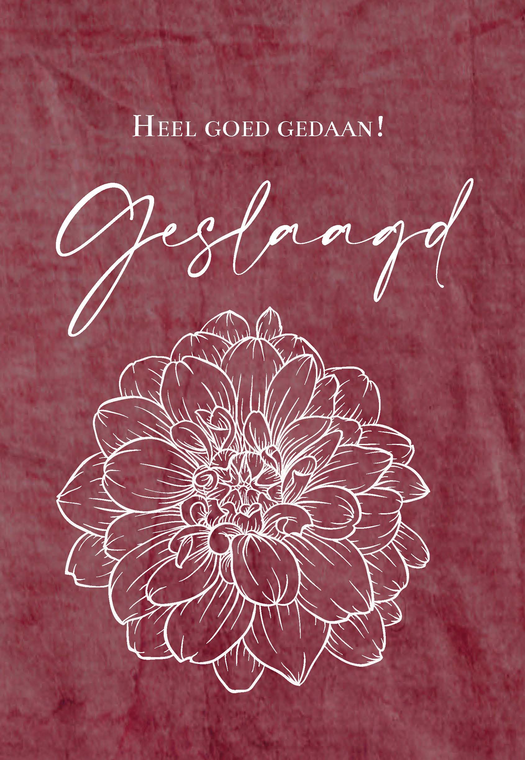 MA55015 - Wenskaart 'Geslaagd' MA55015 - Wenskaart 'Geslaagd'